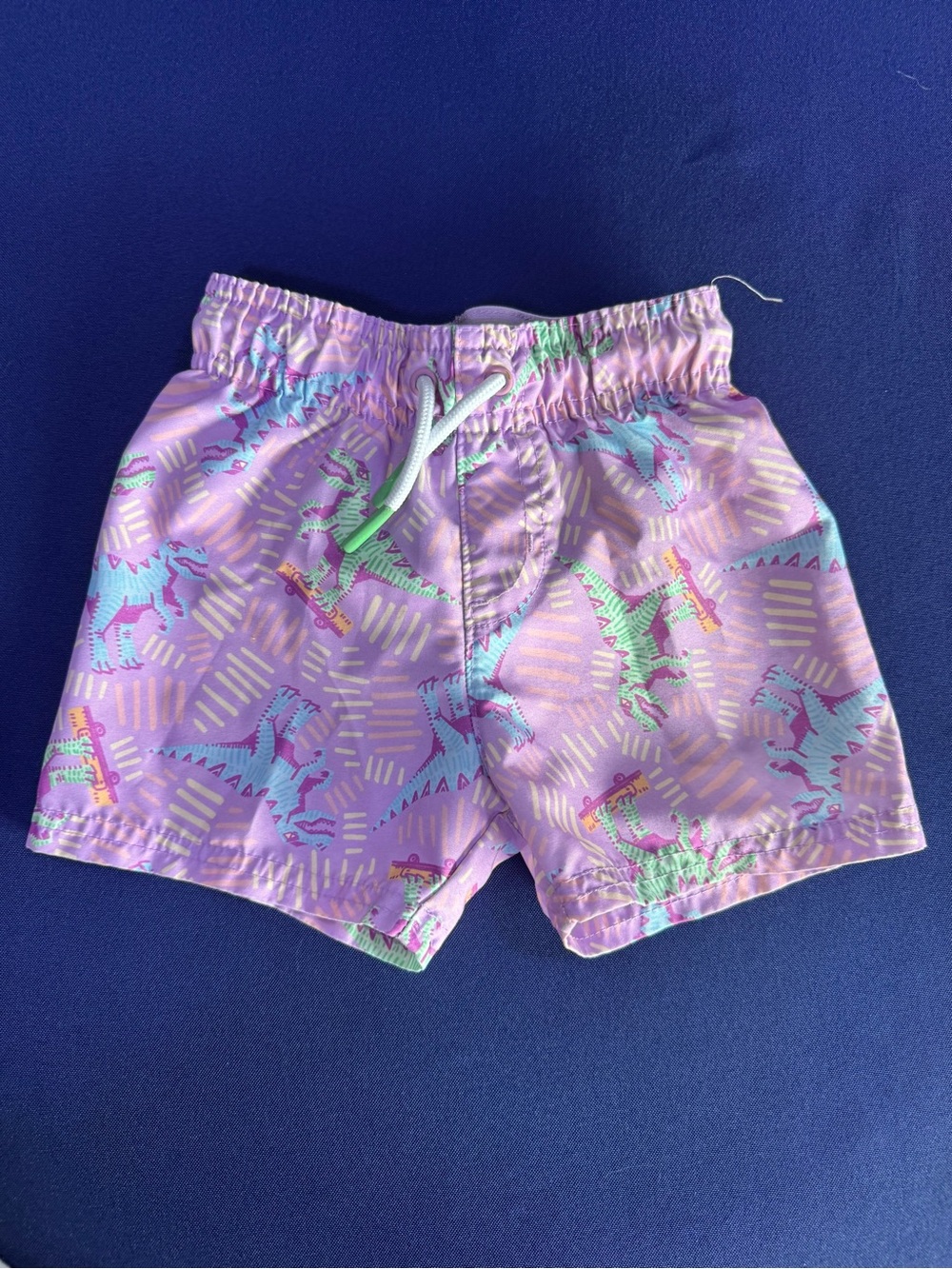 Cat & Jack Lavender Dino Swim Shorts with Mint Accents